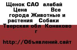 Щенок САО (алабай) › Цена ­ 10 000 - Все города Животные и растения » Собаки   . Тверская обл.,Конаково г.